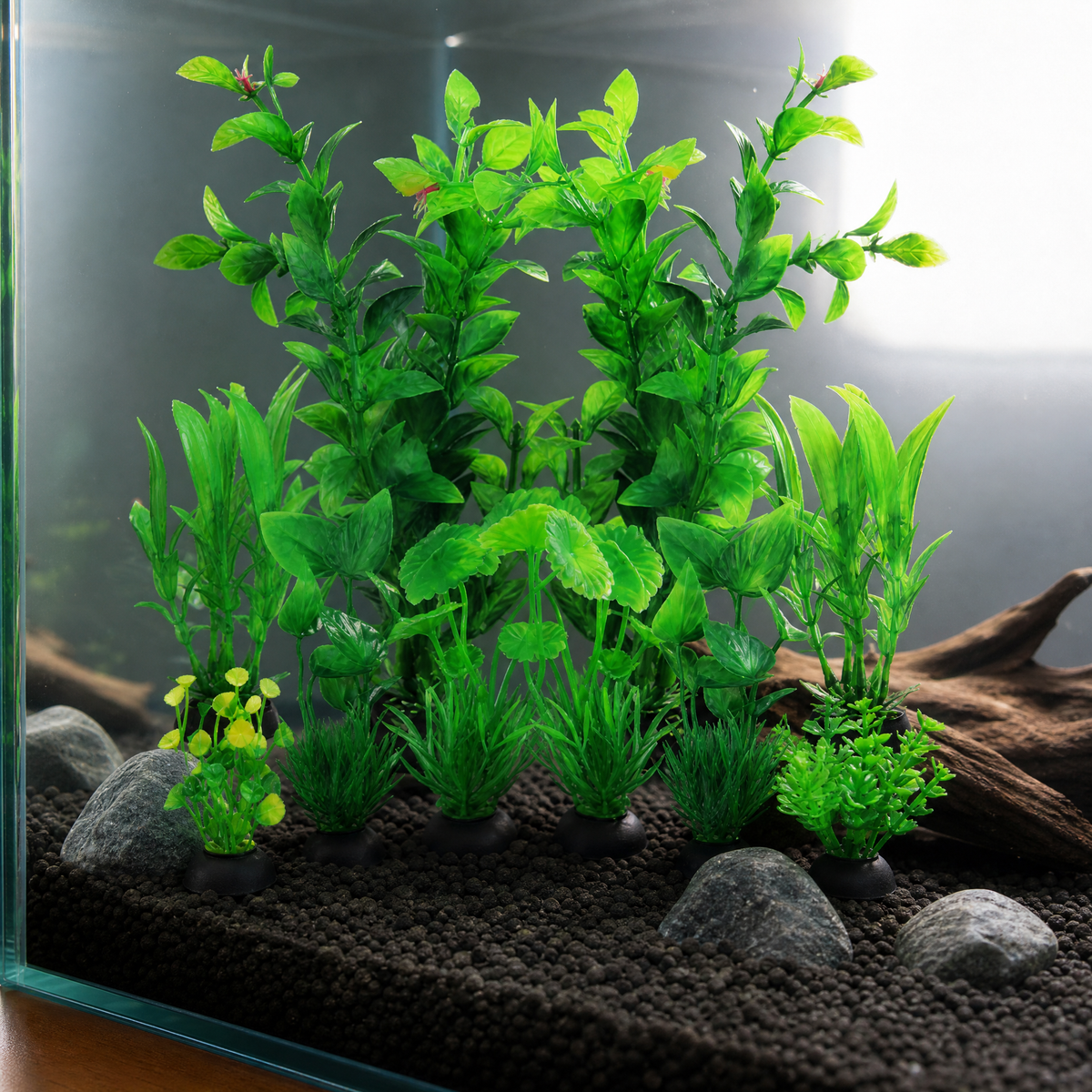Un point de verdure dans le salon