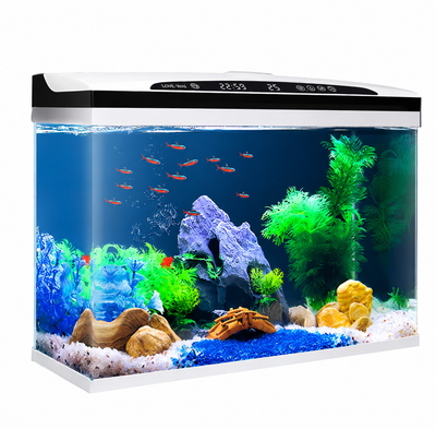 Aquarium Connecté Pearl - Eau Douce 18L
