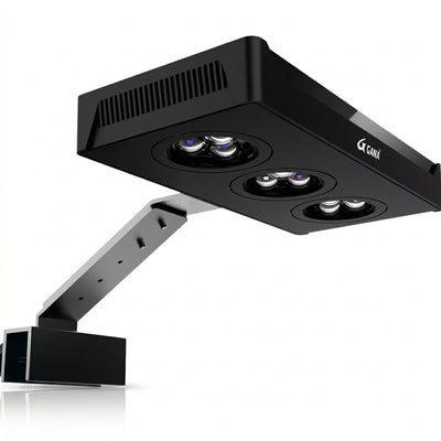 Lampe LED Lumina WiFi - Bacs Plantés