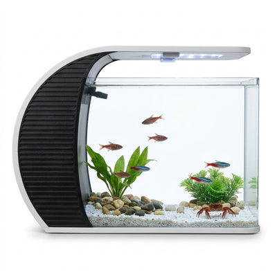 Nano Aquarium Nexus - Eau Douce 20L (Connecté)