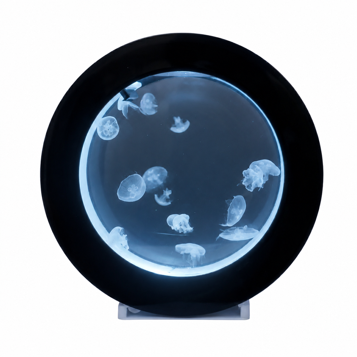 Aquarium à Méduses Circulaire - JellyLight 20L